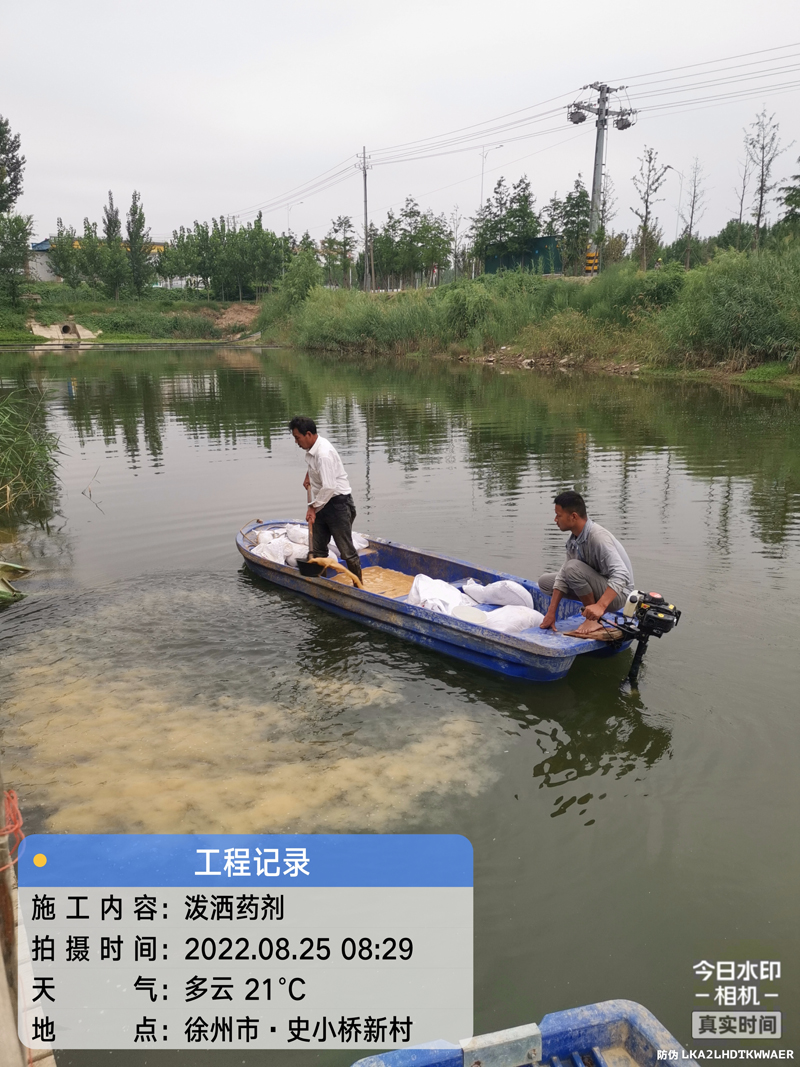 丰县欢口镇东营子河上游水生态修复工程