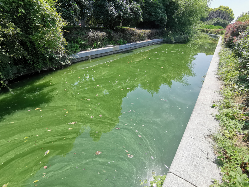 徐州市政府护城河水质维护工程