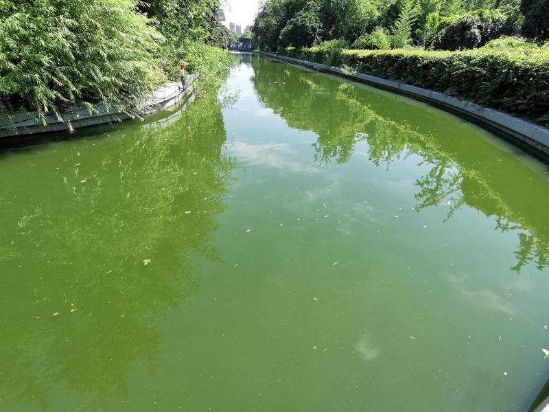 徐州市政府护城河水质维护工程