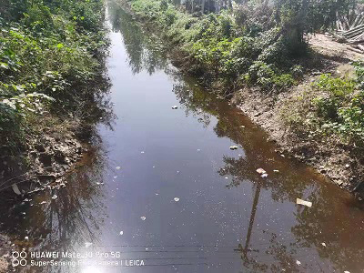 丰县欢口镇赵河涯大沟水生态修复工程