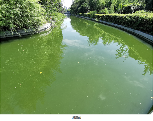 徐州市政府护城河水质维护工程